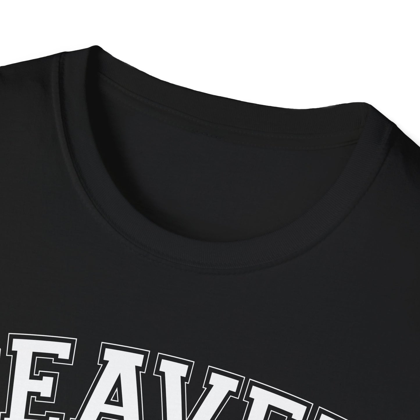 Beaver Republic T-Shirt, Black Softstyle Graphic Tee, Unisex Casual Wear, Support'N Locals Merch, Gift for Community Lovers,