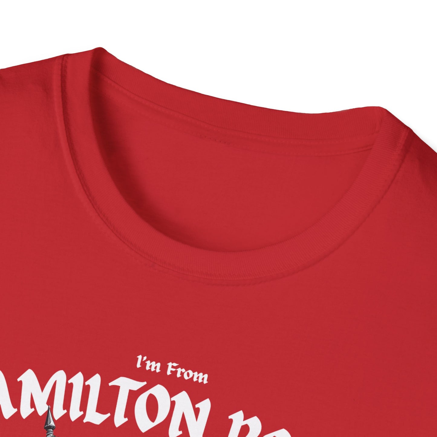 Hamilton Road Underestimate Guy T-Shirt, c02-n04-s002 Softstyle Graphic Tee, Unisex Casual Wear, Support'n Locals Merch, Gift for Community Lovers.