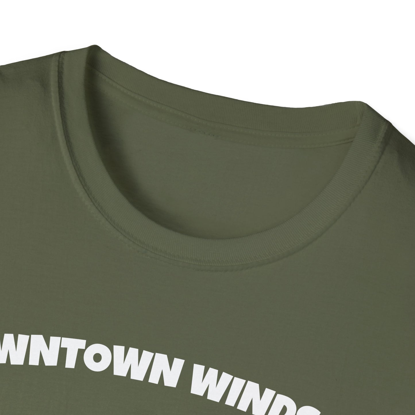 DOWNTOWN WINDSOR T-Shirt, Softstyle Graphic Tee, Unisex Casual Wear, Support Local Merch, Gift for Community Lovers, Finkz Windsor