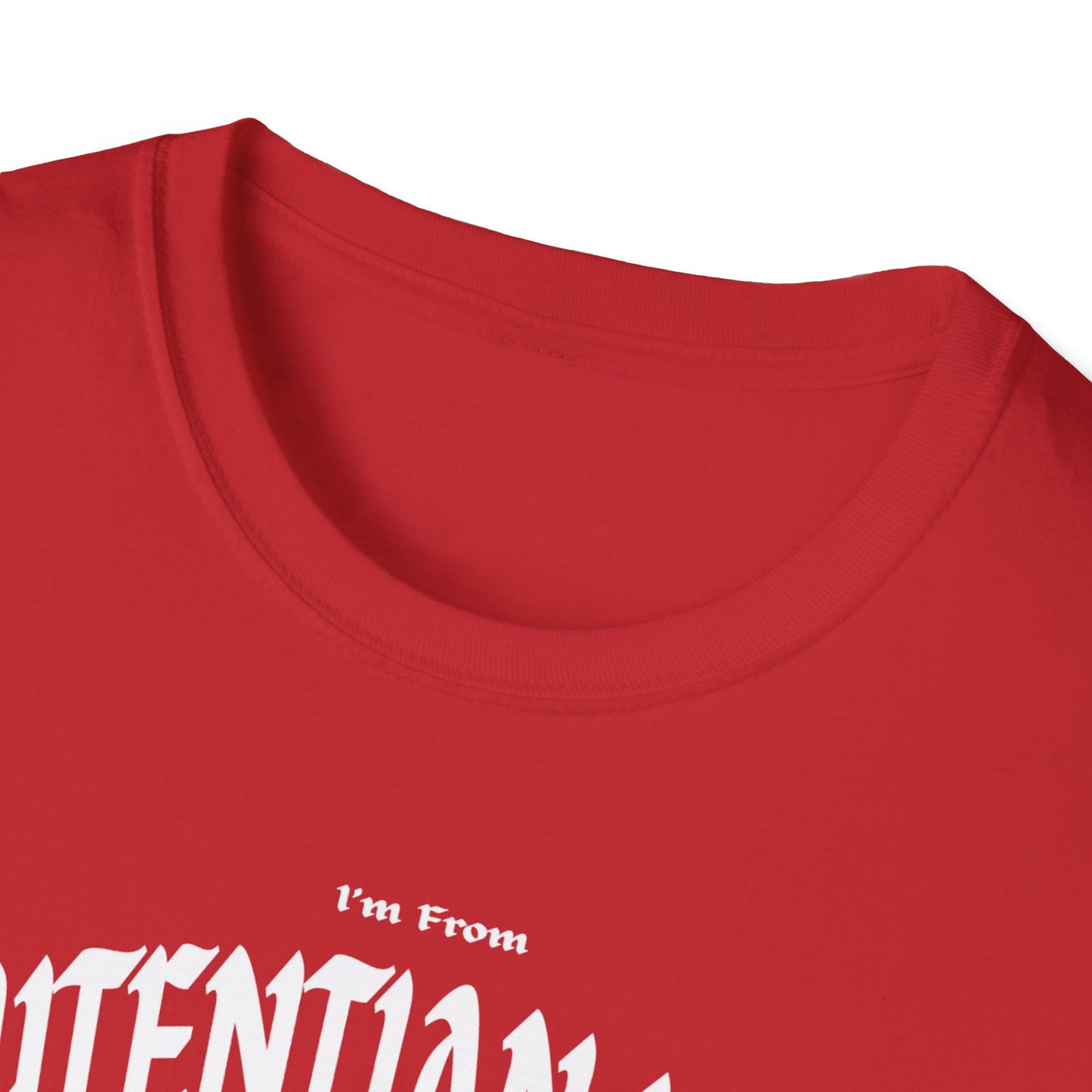 Laurentian Hills Underestimate Gal T-Shirt, c03-n06-s001 Softstyle Graphic Tee, Unisex Casual Wear, Support'n Locals Merch, Gift for Community Lovers.