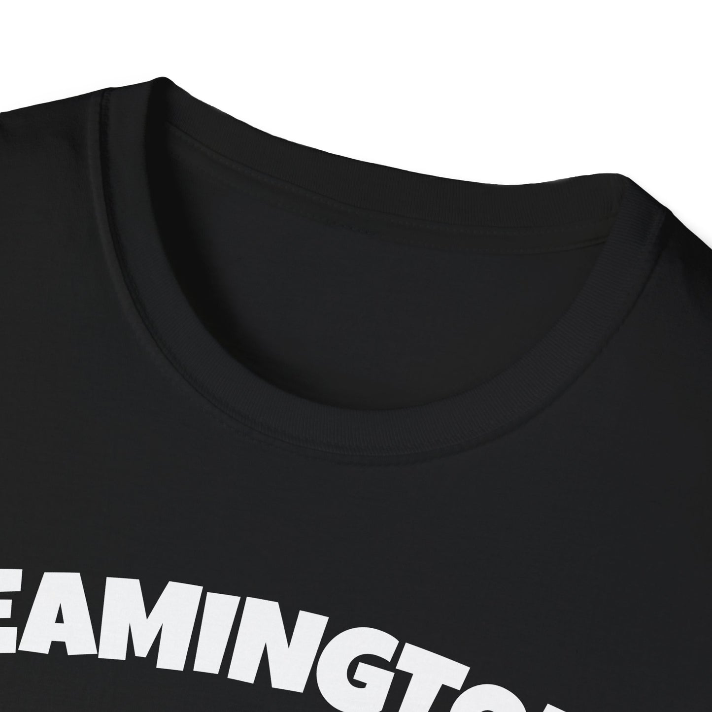 LEAMINGTON T-Shirt, Softstyle Graphic Tee, Unisex Casual Wear, Support Local Merch, Gift for Community Lovers, Finkz Windsor