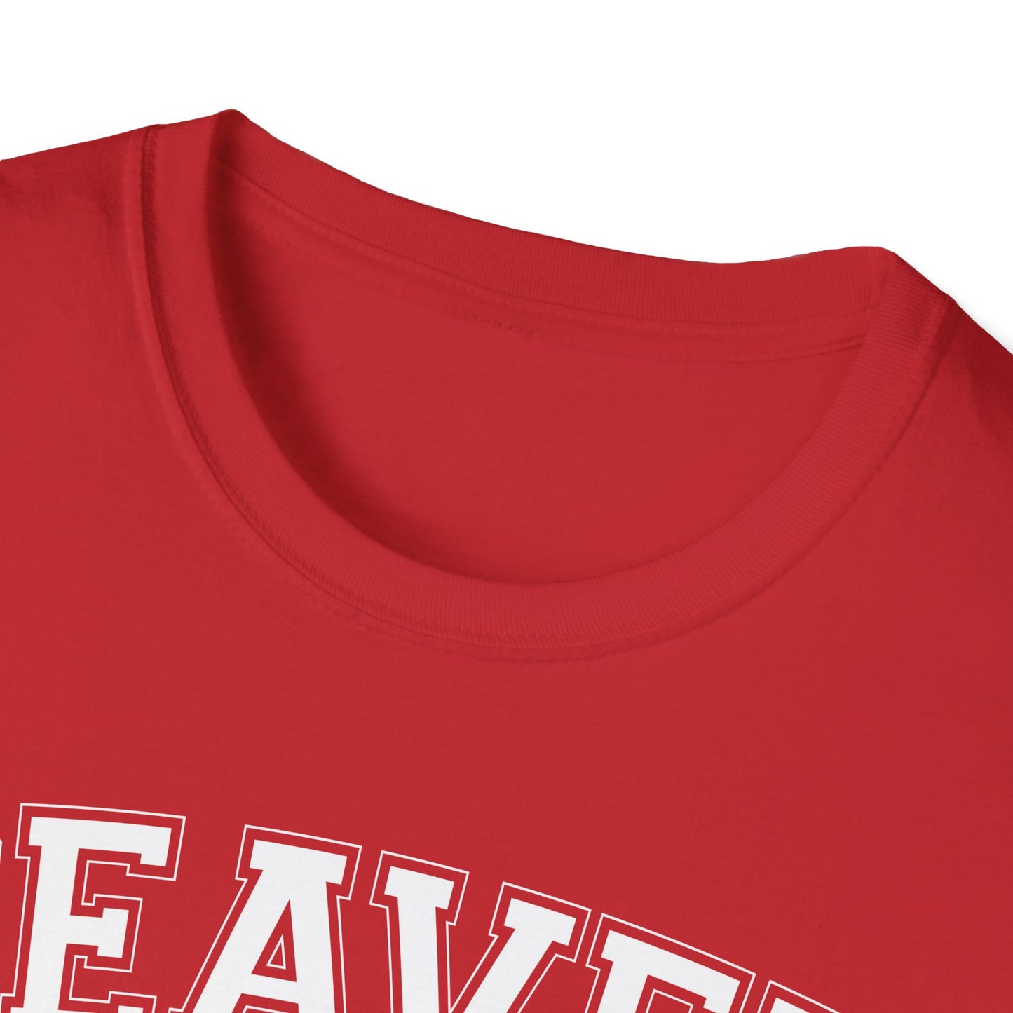 Beaver Republic T-Shirt, Red Softstyle Graphic Tee, Unisex Casual Wear, Support'N Locals Merch, Gift for Community Lovers,