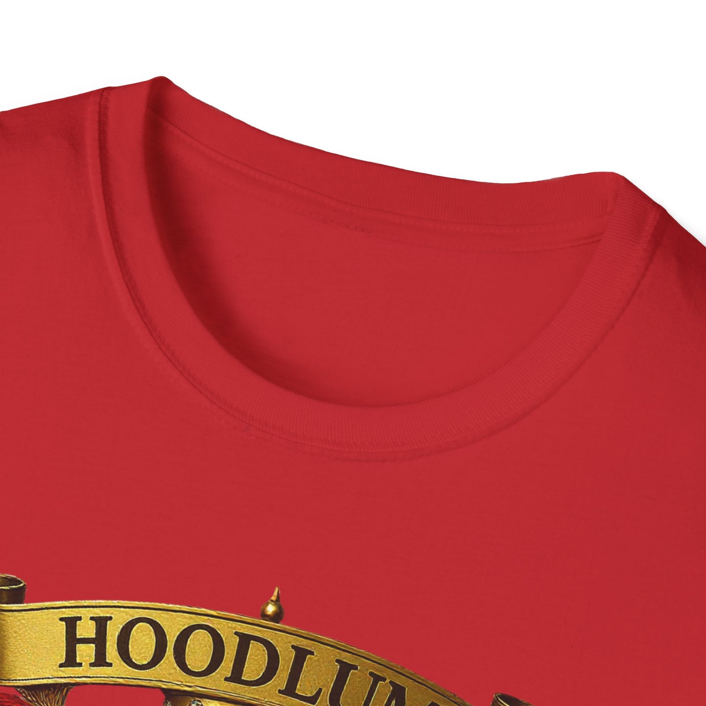 Hoodlum University 2 T-Shirt, Softstyle Graphic Tee, Unisex Casual Wear, Support Local Merch, Gift for Community Lovers, Finkz Windsor