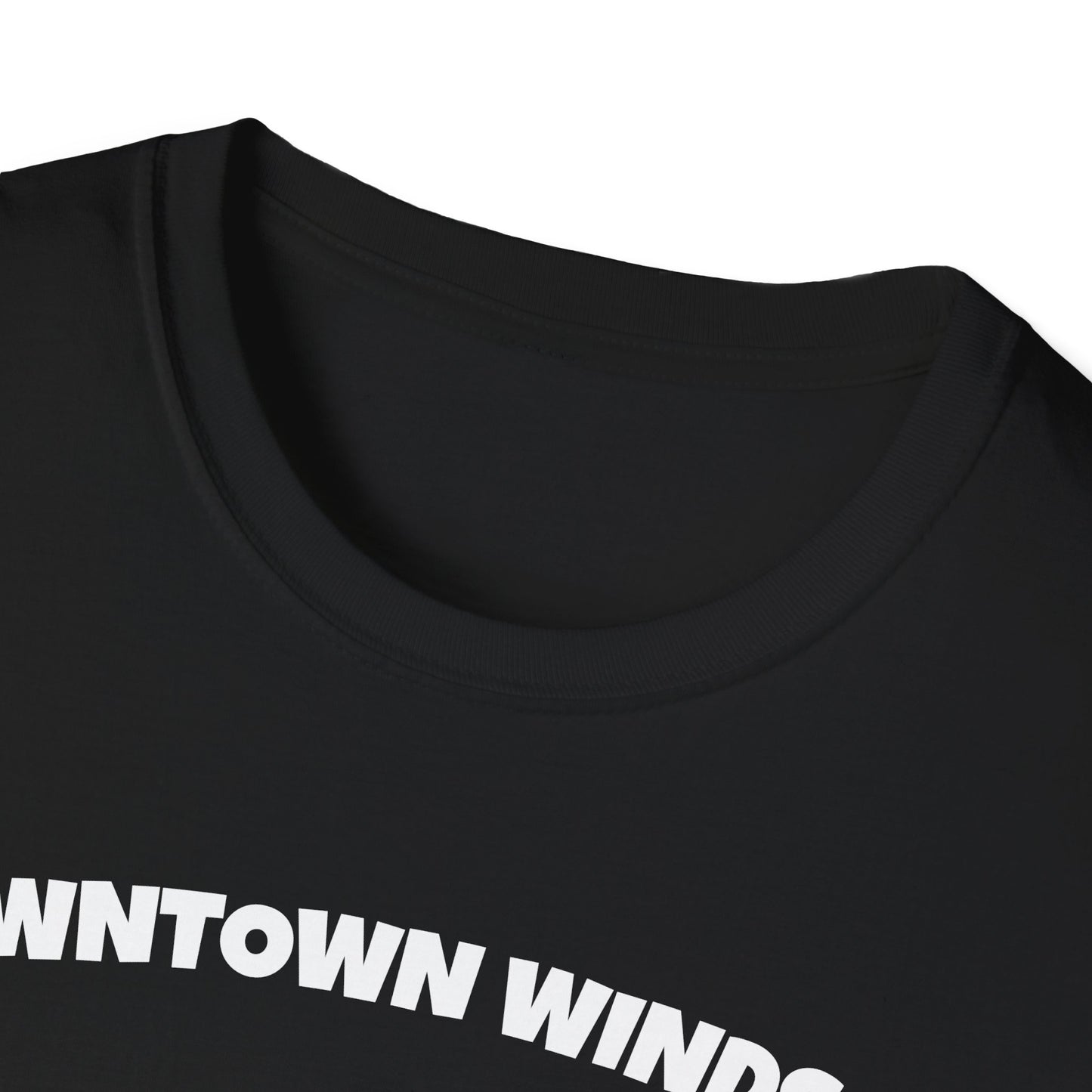 DOWNTOWN WINDSOR T-Shirt, Softstyle Graphic Tee, Unisex Casual Wear, Support Local Merch, Gift for Community Lovers, Finkz Windsor