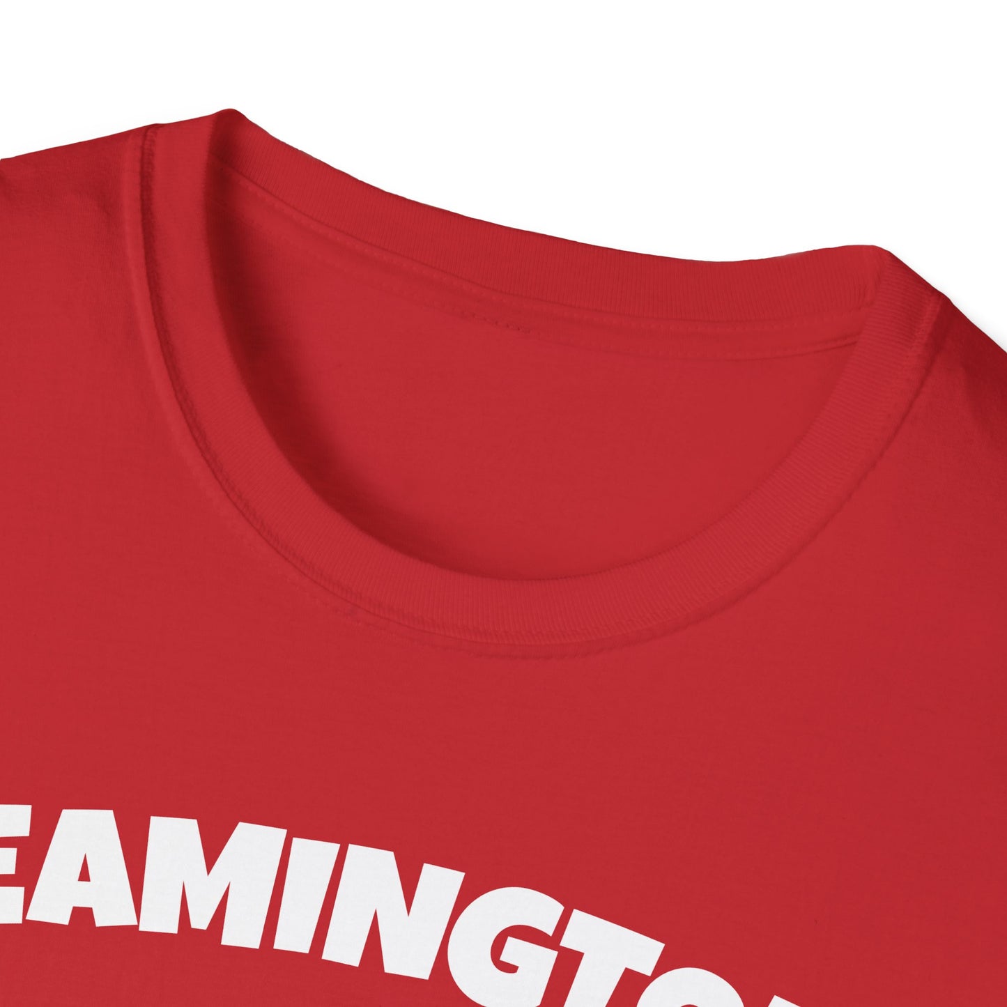 LEAMINGTON T-Shirt, Softstyle Graphic Tee, Unisex Casual Wear, Support Local Merch, Gift for Community Lovers, Finkz Windsor