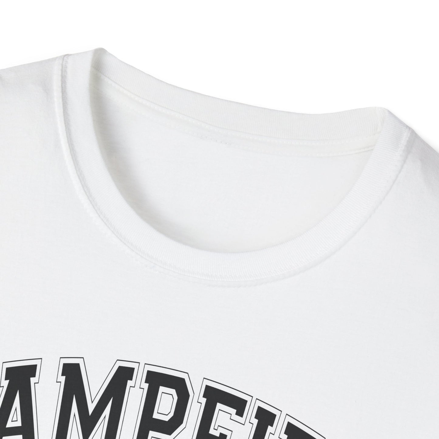 Campfire Social Club Chairs T-Shirt, c00-n00-s008 Softstyle Graphic Tee, Unisex Casual Wear, Support'N Locals Merch, Gift for Community Lovers, wednesday